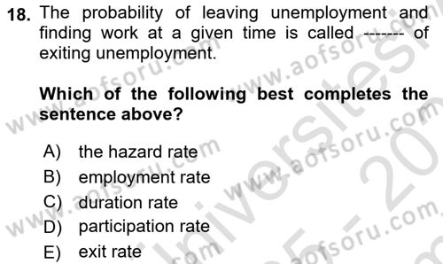 Labor Economics Dersi 2025 - 2026 Yılı (Final) Dönem Sonu Sınav Soruları 18. Soru