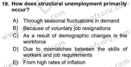 Labor Economics Dersi 2025 - 2026 Yılı (Final) Dönem Sonu Sınav Soruları 19. Soru