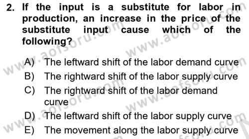 Labor Economics Dersi 2025 - 2026 Yılı (Final) Dönem Sonu Sınav Soruları 2. Soru