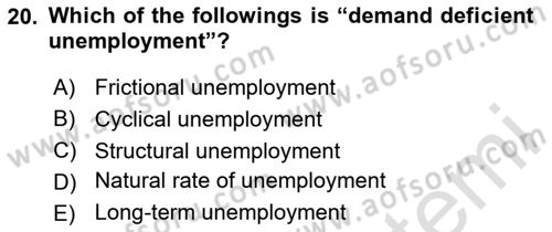 Labor Economics Dersi 2025 - 2026 Yılı (Final) Dönem Sonu Sınav Soruları 20. Soru