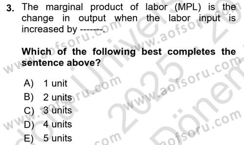 Labor Economics Dersi 2025 - 2026 Yılı (Final) Dönem Sonu Sınav Soruları 3. Soru