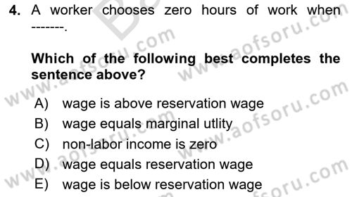 Labor Economics Dersi 2025 - 2026 Yılı (Final) Dönem Sonu Sınav Soruları 4. Soru