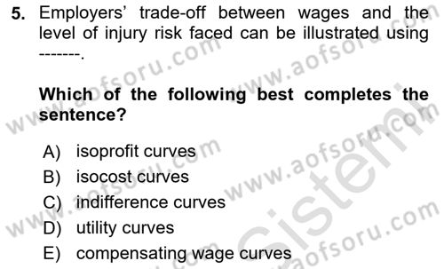 Labor Economics Dersi 2025 - 2026 Yılı (Final) Dönem Sonu Sınav Soruları 5. Soru