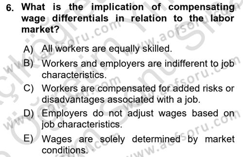 Labor Economics Dersi 2025 - 2026 Yılı (Final) Dönem Sonu Sınav Soruları 6. Soru