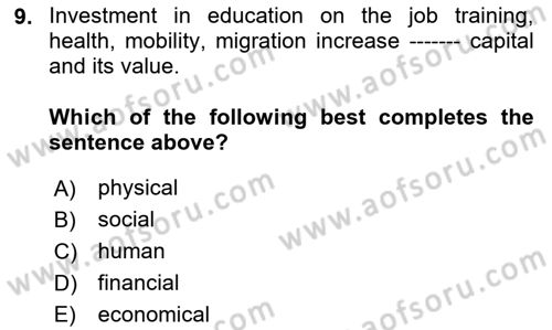 Labor Economics Dersi 2025 - 2026 Yılı (Final) Dönem Sonu Sınav Soruları 9. Soru