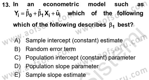 Econometrics 1 Dersi 2023 - 2024 Yılı (Vize) Ara Sınav Soruları 13. Soru