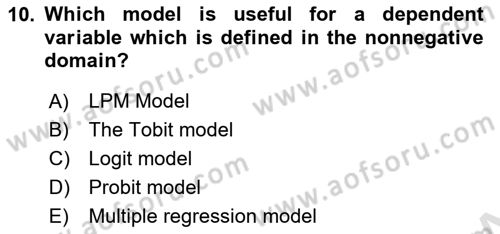 Econometrics 1 Dersi 2023 - 2024 Yılı (Final) Dönem Sonu Sınav Soruları 10. Soru