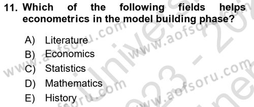 Econometrics 1 Dersi 2023 - 2024 Yılı (Final) Dönem Sonu Sınav Soruları 11. Soru
