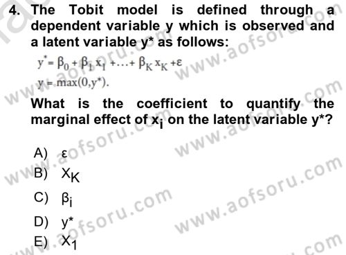 Econometrics 1 Dersi 2023 - 2024 Yılı (Final) Dönem Sonu Sınav Soruları 4. Soru