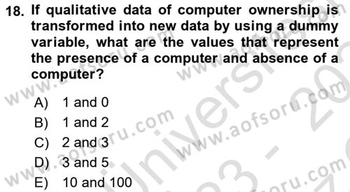 Econometrics 1 Dersi 2023 - 2024 Yılı Yaz Okulu Sınav Soruları 18. Soru