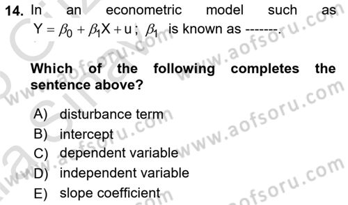 Econometrics 1 Dersi 2024 - 2025 Yılı (Vize) Ara Sınav Soruları 14. Soru