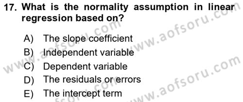 Econometrics 1 Dersi 2024 - 2025 Yılı (Vize) Ara Sınav Soruları 17. Soru