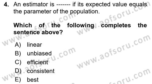 Econometrics 1 Dersi 2024 - 2025 Yılı (Vize) Ara Sınav Soruları 4. Soru