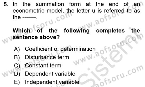 Econometrics 1 Dersi 2024 - 2025 Yılı (Vize) Ara Sınav Soruları 5. Soru