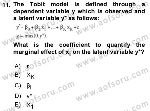 Econometrics 1 Dersi 2024 - 2025 Yılı (Final) Dönem Sonu Sınav Soruları 11. Soru