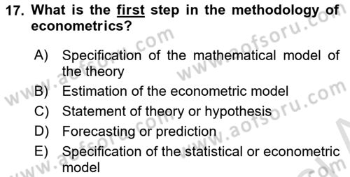 Econometrics 1 Dersi 2024 - 2025 Yılı (Final) Dönem Sonu Sınav Soruları 17. Soru