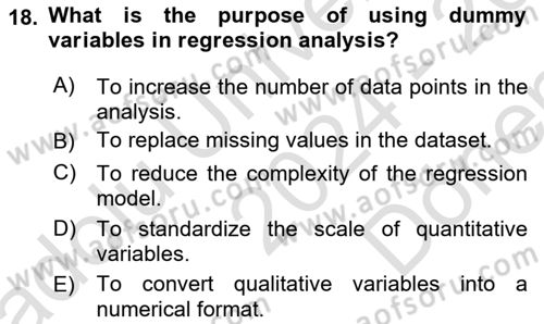Econometrics 1 Dersi 2024 - 2025 Yılı (Final) Dönem Sonu Sınav Soruları 18. Soru