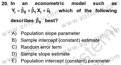 Econometrics 1 Dersi 2024 - 2025 Yılı (Final) Dönem Sonu Sınav Soruları 20. Soru