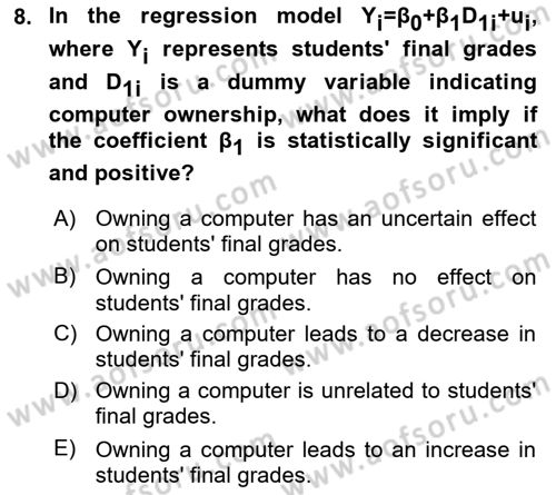 Econometrics 1 Dersi 2024 - 2025 Yılı (Final) Dönem Sonu Sınav Soruları 8. Soru