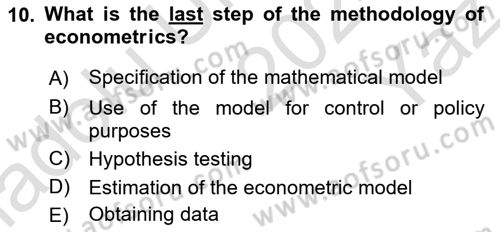 Econometrics 1 Dersi 2024 - 2025 Yılı Yaz Okulu Sınav Soruları 10. Soru