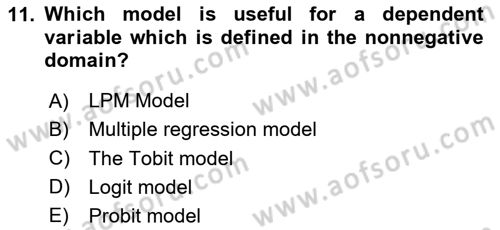 Econometrics 1 Dersi 2024 - 2025 Yılı Yaz Okulu Sınav Soruları 11. Soru
