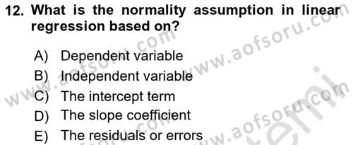 Econometrics 1 Dersi 2024 - 2025 Yılı Yaz Okulu Sınav Soruları 12. Soru