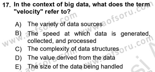 Econometrics 1 Dersi 2024 - 2025 Yılı Yaz Okulu Sınav Soruları 17. Soru