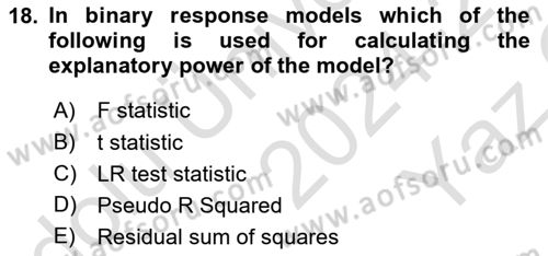 Econometrics 1 Dersi 2024 - 2025 Yılı Yaz Okulu Sınav Soruları 18. Soru