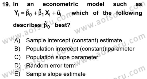 Econometrics 1 Dersi 2024 - 2025 Yılı Yaz Okulu Sınav Soruları 19. Soru