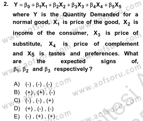 Econometrics 1 Dersi 2024 - 2025 Yılı Yaz Okulu Sınav Soruları 2. Soru