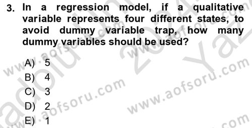 Econometrics 1 Dersi 2024 - 2025 Yılı Yaz Okulu Sınav Soruları 3. Soru