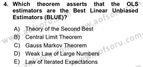 Econometrics 1 Dersi 2024 - 2025 Yılı Yaz Okulu Sınav Soruları 4. Soru