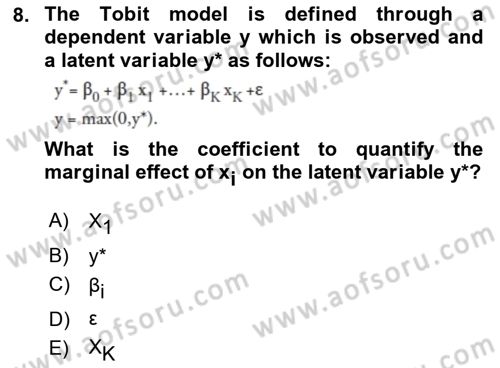 Econometrics 1 Dersi 2024 - 2025 Yılı Yaz Okulu Sınav Soruları 8. Soru
