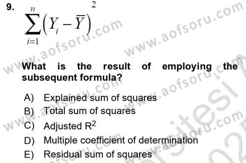 Econometrics 1 Dersi 2024 - 2025 Yılı Yaz Okulu Sınav Soruları 9. Soru