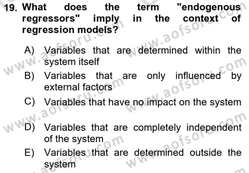 Econometrics 2 Dersi 2023 - 2024 Yılı (Vize) Ara Sınav Soruları 19. Soru