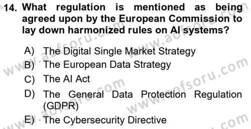 Econometrics 2 Dersi 2023 - 2024 Yılı (Final) Dönem Sonu Sınav Soruları 14. Soru