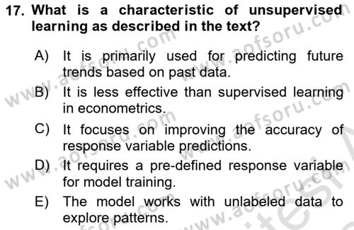 Econometrics 2 Dersi 2023 - 2024 Yılı (Final) Dönem Sonu Sınav Soruları 17. Soru