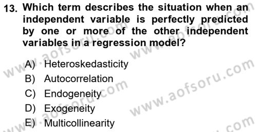 Econometrics 2 Dersi 2023 - 2024 Yılı Yaz Okulu Sınav Soruları 13. Soru