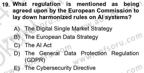 Econometrics 2 Dersi 2023 - 2024 Yılı Yaz Okulu Sınav Soruları 19. Soru