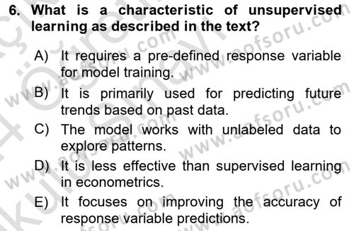 Econometrics 2 Dersi 2023 - 2024 Yılı Yaz Okulu Sınav Soruları 6. Soru