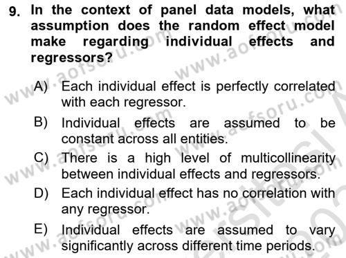 Econometrics 2 Dersi 2023 - 2024 Yılı Yaz Okulu Sınav Soruları 9. Soru
