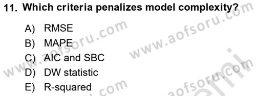 Econometrics 2 Dersi 2024 - 2025 Yılı (Vize) Ara Sınav Soruları 11. Soru