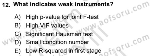 Econometrics 2 Dersi 2024 - 2025 Yılı (Vize) Ara Sınav Soruları 12. Soru