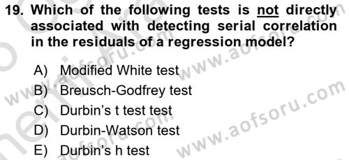 Econometrics 2 Dersi 2024 - 2025 Yılı (Vize) Ara Sınav Soruları 19. Soru