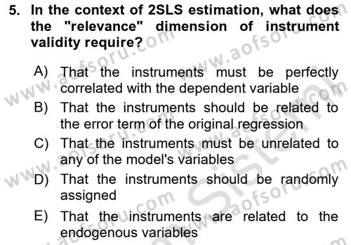 Econometrics 2 Dersi 2024 - 2025 Yılı (Vize) Ara Sınav Soruları 5. Soru