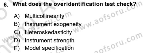 Econometrics 2 Dersi 2024 - 2025 Yılı (Vize) Ara Sınav Soruları 6. Soru