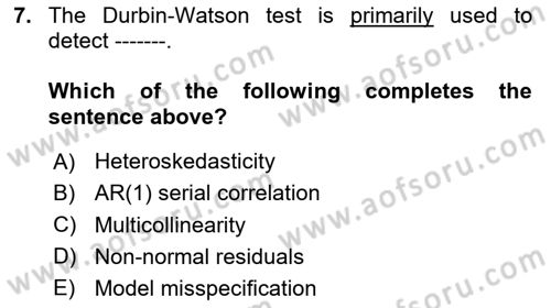 Econometrics 2 Dersi 2024 - 2025 Yılı (Vize) Ara Sınav Soruları 7. Soru