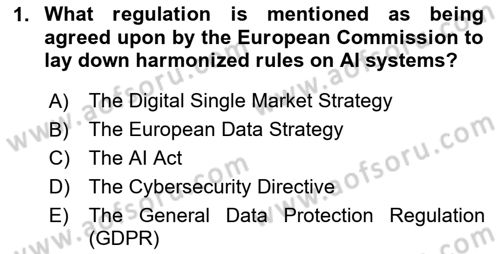 Econometrics 2 Dersi 2024 - 2025 Yılı (Final) Dönem Sonu Sınav Soruları 1. Soru