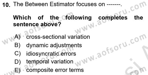Econometrics 2 Dersi 2024 - 2025 Yılı (Final) Dönem Sonu Sınav Soruları 10. Soru