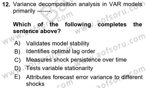 Econometrics 2 Dersi 2024 - 2025 Yılı (Final) Dönem Sonu Sınav Soruları 12. Soru